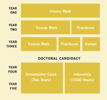 phd method for secondary structure prediction